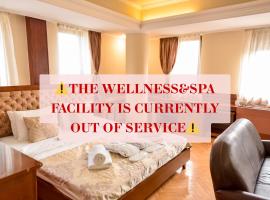 Sole Mio Wellness & SPA，位于诺维萨德的酒店