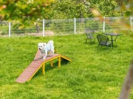 Yangyang Monti Pet Spa Pension