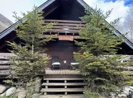 Les Vaillants Chalet - Vielle Aure