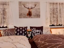 Ferienwohnung zum Sebnitzer Hirsch，位于塞布尼茨的住宿