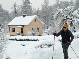 Little Cabin，位于Gnosj&ouml;的自助式住宿