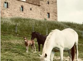 Equisoain Torre，位于Monreal的酒店