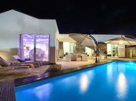 Charming villa Darte with private pool near Rovinj, extra pool heating available