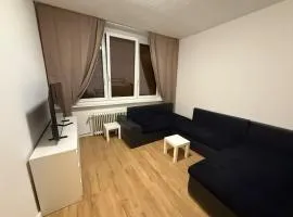 Apartment 2 Zimmer Küche Bad TV Garten WLAN