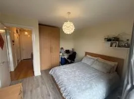 Affordable dublin room