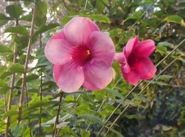 Beach house, Maral，位于Harihareshwar的酒店