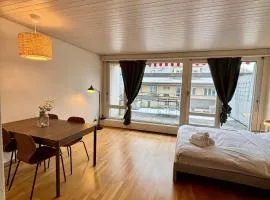 Simple & Comfy Apartment on Gartenstrasse