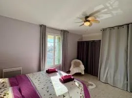 Appartement spacieux en plein centre ville