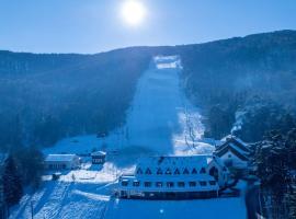 Hotel Arena Maribor，位于马里博尔的住宿