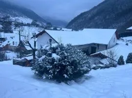 Pensiunea Hanzu Darius