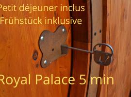 Domaine des Trois Sorciers，位于Bouxwiller的温泉住宿