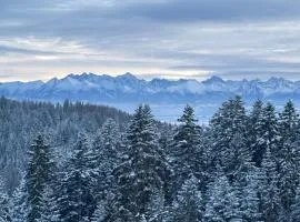 Apartament Zielone Wzgórze