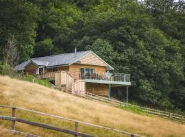 Red Kite Lodge - Uk32610