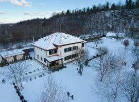 Pensiunea Negoiu，位于波卢巴库苏斯的酒店