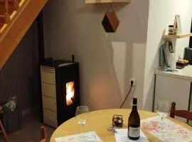 le petit cosy terrasse et spa