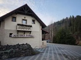 Pensiunea Ramona
