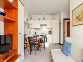 Cremona Stadium & Culture