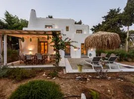 Sun Drop II with garden - Drios beach Paros