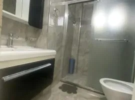 Lagja liri pran televizionit komb fier