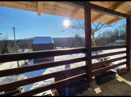 Casa primitoare in inima naturii si padurii，位于Rîşca的酒店