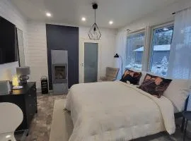 Cozy studio with a wood burning sauna