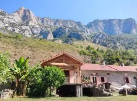Gîte 10 personnes - La Petite Ferme d'En Courtiels
