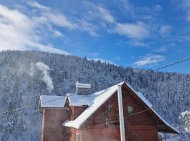 Pensiunea Cabana Viselor ,Apuseni，位于Vadu Moţilor的酒店