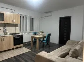 Apartament 3 pers Magurele Ilfov
