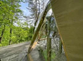 Arborea, nuits insolites au cœur de la forêt