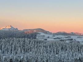 True Ski-In-Ski-Out Rare 3-Bed Condo，位于华盛顿山的酒店