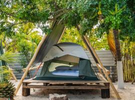 Camping, Glamping y Caravanas Dos Lunas，位于塞莱斯通的酒店