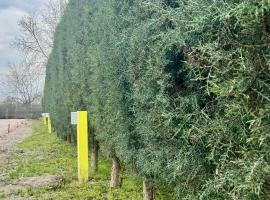 MATKA ECO RV CAMP Campervan & Motorhome Parking in Nature，位于斯科普里的酒店