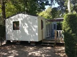 Mobil home à Messanges avec terrasse - API-1-52-1420