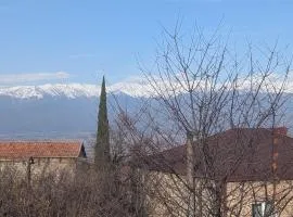 Loria's Cozy House - Telavi