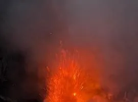 Island Paradise bungalows