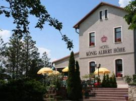柯尼格阿尔伯特霍酒店，位于拉伯瑙的酒店