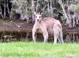 Entire vineyard estate, hunter family gatherings