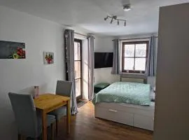 Apartment Blueberry Pool Sauna Netflix WIFI YoutubePremium