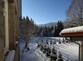 Maiers Hotel，位于拜尔里舍艾森施泰恩的酒店