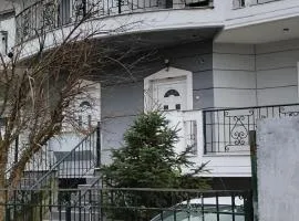 Kαρδιτσα Μοναδικο Οικογενειακο