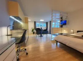 Modern apartment for vacation and business travelers