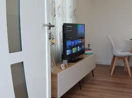 Near Airport Cozy Stay