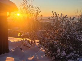 Ferienbungalow Sonnenwald Bayerischer Wald，位于Schöfweg的酒店