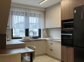 Apartamenty HALLERA，位于Pleszew的酒店