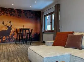 MaMa-Apartments - Haus Martina im Herzen der Rhön - 3 einzelbuchbare moderne Wohnungen für 2-8 Personen, Terrasse, Balkon, Garten, Ski und E-Bike Keller, Lounge, freies Wlan, familienfreundlich