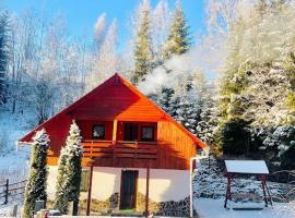 Cabana SVA Bilbor，位于Bilbor的酒店