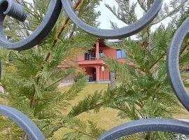 Bellinzona, bed & breakfast di D, alloggio in casa privata con accesso privato con colazione