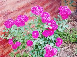 Dpto BBB，位于萨帕拉的酒店