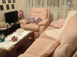 Dana's room -- free WiFi & parking