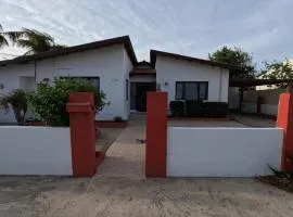 Palm Beach 278